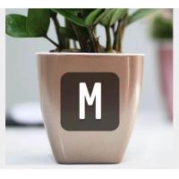 ราคา Sixtyfivehouseกระถาง กระถางต้นไม้ แบบ เก็บ น้ำ ได้ รด น้ำ อัตโนมัติ สีเงิน สีโรสโกลด์ สีทอง (16289643748)