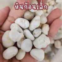 ราคา ยกกระสอบ 6 7กิโล หินแม่น้ำ หินขาว หินกรวด หินธรรมชาติ หินโรยกระถาง หินตกแต่งสวน หินตกแต่งตู้ปลา หินโรยพื้น หินโรยสนาม (20000507520)