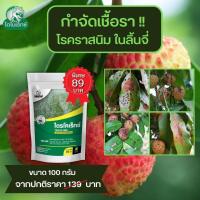 ราคา กำจัดเชื้อรา สาเหตุของโรคราสนิม ใน ลิ้นจี่ ไตรโคเดอร์มา ไตรโคเร็กซ์ ปลอดภัยต่อคนและสัตว์เลี้ยง (17413704455)