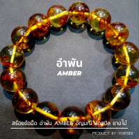 ราคา Yok5see สร้อยข้อมือ อำพัน แท้ 8 12 มม อำพันแท้ สร้อยอำพัน กำไลอำพัน สร้อย กำไล สร้อยข้อมือหิน กำไลข้อมือหิน กำไลข้อมือ สร้อยหิน กำไลหิน Amber (20424077893)