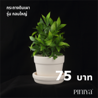 ราคา Piniya กลมใหญ่ กระถางต้นไม้ ดินเผา 11ซม ไม่เขียนลาย DIY กระถางเซรามิค กระถางดอกไม้ กระถางแคคตัส (1179844225)
