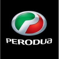 ราคา ไฟโลโก้ประตูรถยนต์ไฟโลโก้อินฟาเรดไร้สาย1ชิ้นไฟส่องพื้นโปรเจ็คเตอร์ LED เหยียบโคมไฟต้อนรับสำหรับ Perodua โปรตอน (20669153257)