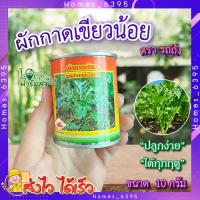 ราคา ผักกาดเขียวน้อย ตรารถถัง เมล็ดผักกาด 10 กรัม เมล็ดผักสวนครัว เมล็ดผัก เมล็ดพันธุ์ผัก homes (18894775621)