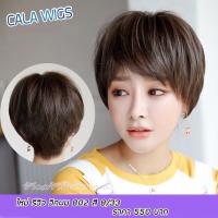 ราคา วิกผม วิกผมสั้นผู้หญิง วิกผมสั้นชอยแบบเกาหลีรวมทรง วิกผมcalawigs เกรดพรีเมี่ยม สินค้าสวยตามภาพ100 สินค้าพร้อมส่งในไทย (12751464486)