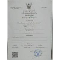 ราคา หลวงปู่ศุข วัดปากคลองมะขามเฒ่า สูง25ซม บริการเก็บเงินปลายทาง (15950997011)