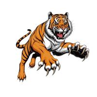 ราคา ตัวรีดติดลายเสื้อ TK 37 ลายเสือ หน้าเสือ ลายติดเสื้อ เท่ห์ๆๆ แผ๋นฟิล์มรีดร้อน (19939604413)