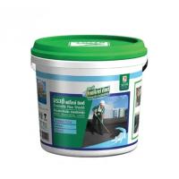 ราคา ซีเมนต์กันซึม ขนาด 1กก 4กก สีเทา ทากันซึมชนิดยืดหยุ่น เฟล็กซ์ ชิลด์ (19873991808)