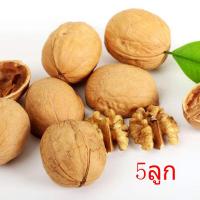 ราคา วอลนัท ลับฟัน สัตว์เลี้ยงฟันแทะ นกแก้ว ชูก้าร์ แฮมสเตอร์ กระรอก แพรี่ด็อก อาหารเสริมสำหรับสัตว์เลี้ยงฟันแทะ ถุง5ลูก (19103540103)