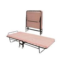 ราคา Asia เตียงเสริมพับได้ ขนาด3ฟุต รุ่น B106 (9559137)