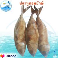 ราคา ปลาทูหอมยักษ์ 1แพ็ค 3ตัว ปลาทูหอม ปลาทูหอมเค็ม ปลาทู ปลาทูแม่กลอง ปลาเค็ม ปลาตากแห้ง ปลาแห้ง อาหารทะเล อาหารทะเลแห้ง อาหารทะเลแปรรูป (15040858832)