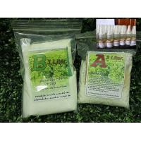 ราคา ปุ๋ยAB ชุด 3 ลิตร สารละลายABธาตุอาหารAB แบบผงชุด 3 ลิตร และอาหารเสริม 10ml สำหรับปลูกผักไฮโดรโปนิกส์ (9978048506)