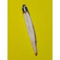 ราคา เขี้ยวหมูตัน เครื่องราง ของเก่าเก็บ ขนาดยาว 7x1 cm (17746493767)