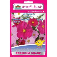 ราคา เมล็ดพันธุ์ ดาวกระจายฝรั่ง COS 101 ตราตะวันต้นกล้า (1402376239)