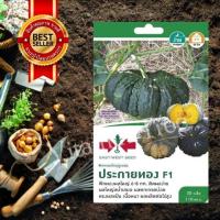 ราคา เมล็ดพันธุ์ ฟักทอง ประกายทอง 30เมล็ด ศรแดง เมล็ด ต้นไม้ เมล็ดผัก เมล็ดดอกไม้ ดอกไม้ ผัก ผักสวนครัว สลัด เมล็ดพันธุ์พืช (10038775459)