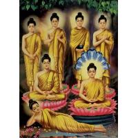 ราคา ภาพพระพุทธเจ้าปางประจำวันเกิดทั้ง7วันและ ปางประสูติ ตรัสรู้ ปรินิพาน และปางประทานพร ภาพเคลือบมันอย่างดีสีสวยสดใสขนาด15X20นิ้ว (15270269521)