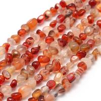 ราคา Dyed Natural Carnelian Beads Strands Nuggets 3 5x3 5x3 8mm Hole 1mm about 85 90pcs strand 15 7 inch 40cm (21110793199)