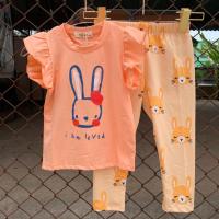 ราคา พร้อมส่งลาย Care bears Disney Princessชุดเซ็ทเสื้อ กางเกง ถ่ายจากสินค้าจริง รับประกันผ้าดีมากๆ ผ้าคอตตอนยืดทั้งต (19275695311)