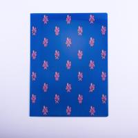 ราคา BT21 POCKET DOCUMENT HOLDER COOKY (16879790248)