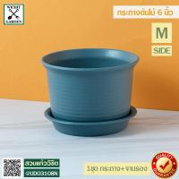 ราคา กระถางต้นไม้ กระถางพลาสติก จานรอง สำหรับปลูกต้นไม้ สีสดใสแนววินเทจ ขนาด 6 นิ้ว สีน้ำเงิน (9783820631)