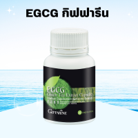 ราคา ชาเขียว ชาเขียวแคปซูล ชาเขียวสกัด อีจีซีจี กิฟฟารีน EGCG GIFFARINE สารสกัดชาเขียว (19391730454)