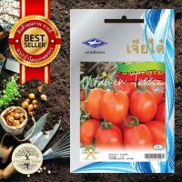 ราคา เมล็ดพันธุ์ มะเขือเทศ ลูกท้อ 1 กรัม (19262158128)