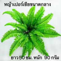 ราคา เฟิร์นประดิษฐ์ ตกแต่งบ้านและสวน เฟิร์นปลอม ต้นเฟิร์นมี3ขนาด Grass เปอร์เซีย (19429127420)