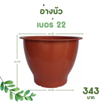 ราคา กระถาง จานรอง กระถางต้นไม้ อ่างบัว กระถางบัว เบอร์ 20 22 นิ้ว สีดำ สีขาว สีอิฐ สีเขียว (20894289983)