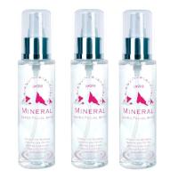 ราคา Ustar Mineral Water Facial Spray 110ml สเปรย์น้ำแร่ ยูสตาร์ แพ็ค3ขวด (105538154)