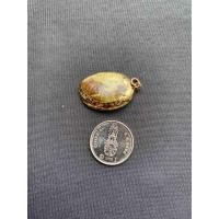 ราคา จี้หอยสังข์ธรรมชาติ Natural conch pendant Gold and silver plated (20050293875)