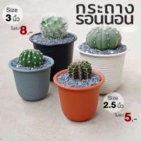 ราคา กระถางแคคตัส กระถางกระบองเพชร กระถางพลาสติก ทรงกลม ขนาด 2 53 นิ้ว 4 สี ขาว ดำ เทา อิฐ (17017128837)