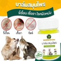 ราคา ครีมบาล์มสมุนไพร บรรเทาโรคผิวหนัง ขี้เรื้อนสุนัข แมว เชื้อรา ยีสต์ คันเกา มี อย ถูกต้อง 20 50 กรัม สมุนไพร หมอไทยทำเอง (21002886537)