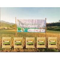 ราคา ข้าวสารหอมสยาม ฤดูฝนปี2565 บรรจุ 15 กิโลกรัม (17462195606)