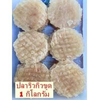 ราคา ปลาริวกิวขูด 1 กิโลกรัม ส่งฟรี ปลาริวกิว ปลาริวกิวขูดกลม ปลาริวกิวกิวกลม ปลาริวกิวกิวขูดเนื้อ ปลาริวกิวหวาน สะอาด สด ใหม่ ร้าน food shot (15701161215)