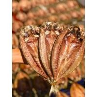 ราคา ปลาทูแขกแดดเดียว ขนาด1กิโล (21057955275)