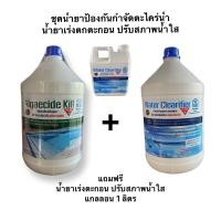 ราคา น้ำยากำจัดตะไคร่น้ำ เข้มข้น และน้ำยาเร่งตกตะกอน และปรับสภาพน้ำใส แถมฟรี น้ำยาเร่งตกตะกอน เข้มข้น 1 ลิตร (20519930789)