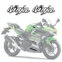 ราคา For Kawasaki NINJA400 ninja 400 2018 2023 2018 2019 2020 2023 Ninja Motorcycle Accessories Fairing Sticker Whole Car Sticker Kit (20195581929)