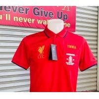 ราคา เสื้อโปโลลิเวอร์พูล ถ้วยแชมป์หงส์สีทอง 2020 (3079026650)