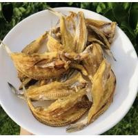 ราคา ปลาช่อนทะเลตากแห้ง ปลาหัวขาด (20569796113)