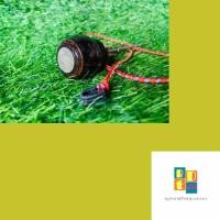 ราคา หลักไก่ หมุดไก่ เชือกผูกขาไก่ ได้ 2 ชิ้น ไก่ตั้ง ไก่ต่อ ไก่แจ้ ไก่สวยงาม หัวหลักสามารถใส่เหรียญได้ (13499193837)