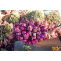 ราคา หอมแดงปึ๋งใหม่ ศรีสะเกษแท้100 ตรงปก หอมแดงปึ๋ง เอาไปมัดเอง ถูกที่สุด คุณภาพดี เนื้อแน่น หัวสวย ครึ่งกิโล 10 แถม 1 (20767547124)