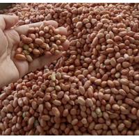 ราคา ถั่วลิสงดิบ เม็ดเล็ก ขนาด500กรัม (20662095587)