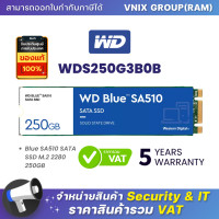 ราคา WDS250G3B0B WD Blue SA510 SATA SSD M 2 2280 250GB By Vnix Group (20698172811)