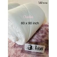 ราคา ไส้ผ้านวม ใยโพลีเอสเตอร์ 200 กรัม ต่อตารางเมตร (18865499729)