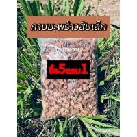 ราคา ซื้อ5แถม1 กาบมะพร้าวสับเล็ก กาบมะพร้าวสับ รองก้นกระถาง ผสมดินปลูก ขนาด2ลิตร (21258130284)