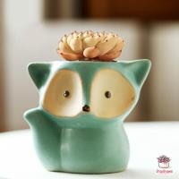 ราคา กระถางดินเผาเคลือบสี ลายหมาจิ้งจอก กระถางต้นไม้ ไม้อวบน้ำ กุหลาบหิน cactus succulentหลากหลายสายพันธ์ (4630274845)