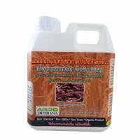 ราคา KOKOMAX สินค้าการเกษตร เชื้อจุลินทรีย์บาซิลลัส ซับทีลิส บีเอส ชนิดน้ำ (9120944)