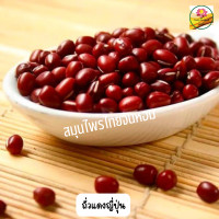 ราคา ถั่วแดงอะซึกิ auzuki bean ถั่วแดงญี่ปุ่น ถั่วแดง ถั่วทำไส้ขนม 500 กรัม (3443042179)