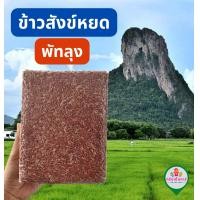 ราคา ข้าวสังข์หยด พัทลุง ข้าวใหม่ 1 กิโลกรัม ปลอดสาร จากเกษตรกร (17962195637)