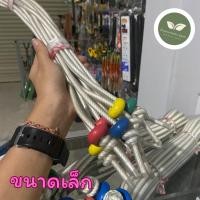 ราคา หวิงวัว หวินวัว เชือกจมูกวัว พร้อมลูกหมาก 3 ขนาด (21122486118)