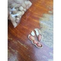 ราคา ถั่วคั่วทราย ปลูกเอง สวนจากชาวนาภาคอีสาน (20740885874)